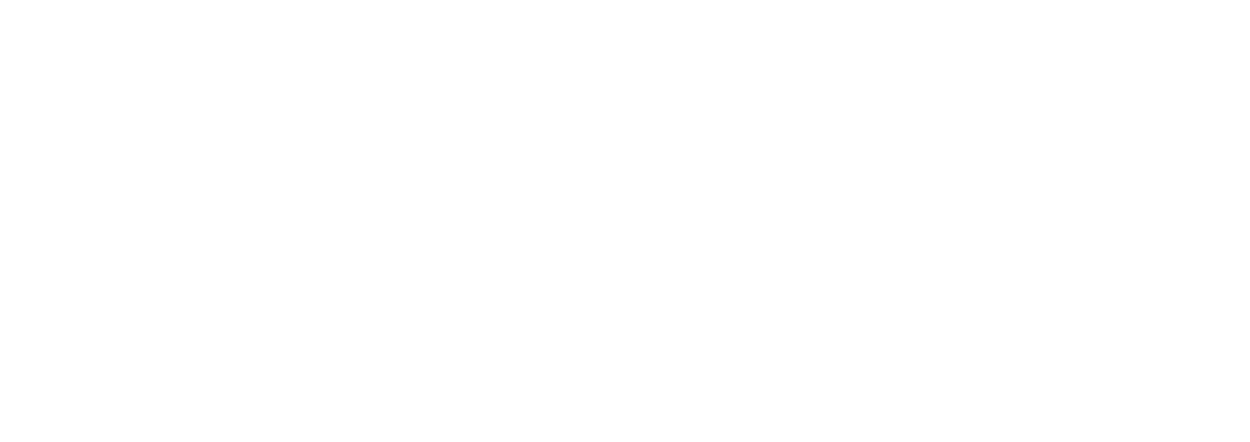 100% Eléctrico